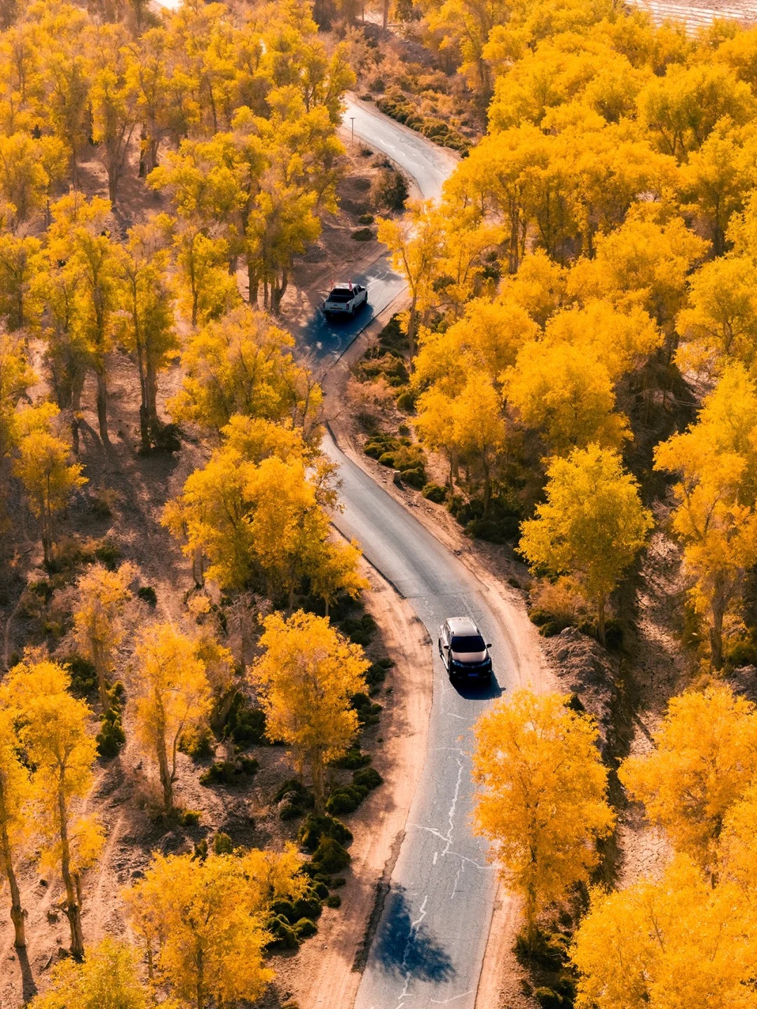 神仙秋景公路在南疆，人少秘境随处可拍
